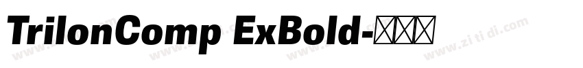 TrilonComp ExBold字体转换